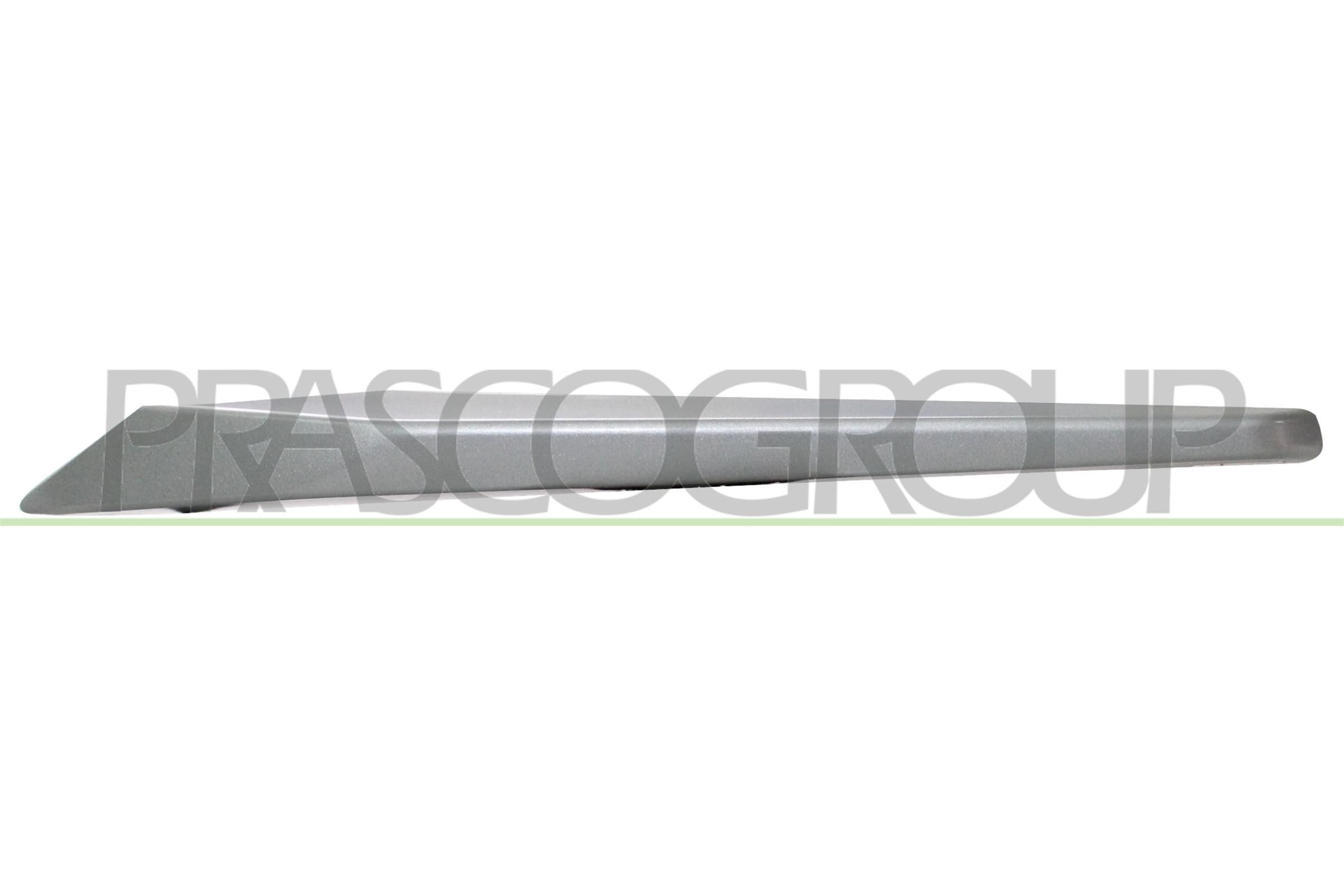 PRASCO Left, Lower Trim / Protective Strip, radiator grille BM0281224 buy