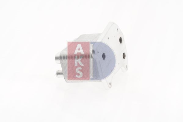 AKS DASIS Oil cooler, engine oil 136012N buy online