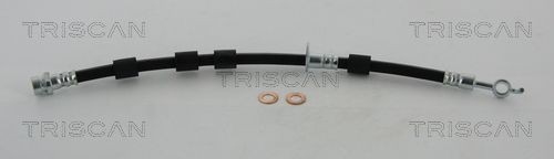 TRISCAN F10x1, 430 mm Thread Size 1: F10x1, Thread Size 2: Banjo Brake line 8150 16351 buy