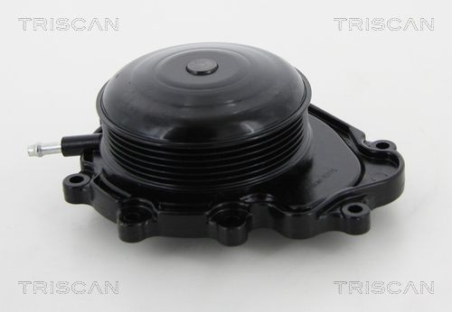 TRISCAN Water pump for engine 8600 23019