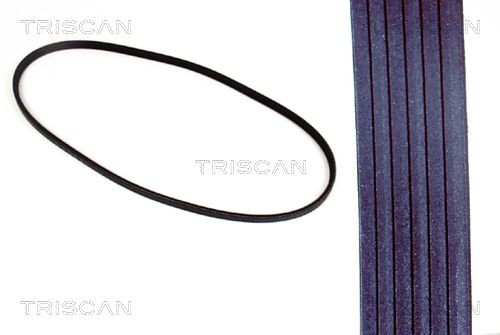 TRISCAN 1025mm, 6, EPDM (ethylene propylene diene Monomer (M-class) rubber) Number of ribs: 6, Length: 1025mm Alternator belt 8640 601025 buy
