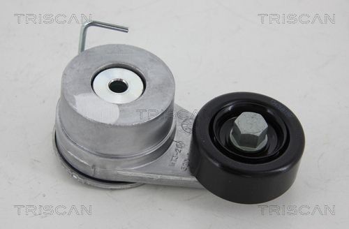 TRISCAN 8641431003 Tensioner pulley 25281-2F001