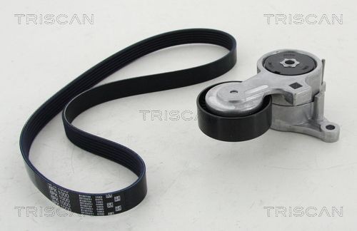 TRISCAN Serpentine belt kit 8642 28022 buy