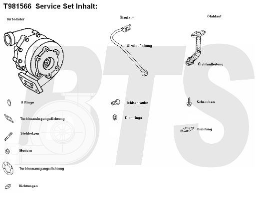 BTS TURBO TURBO SERVICE SET ORIGINAL T981556 Turbocharger 51 09100 9769