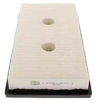 Great value for money - CHAMPION Air filter CAF100869P