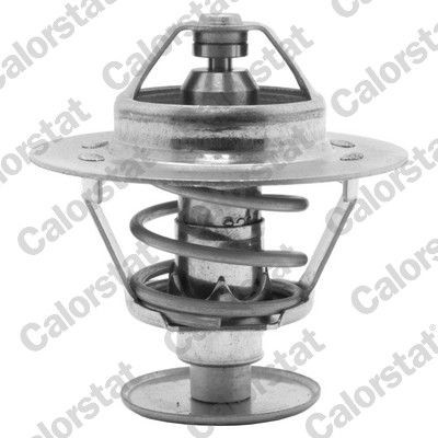 Nissan TRADE Engine thermostat CALORSTAT by Vernet TH1538.82J cheap