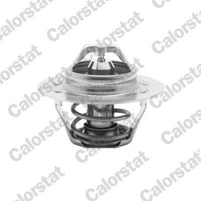 CALORSTAT by Vernet Thermostat TH5108.83J buy online