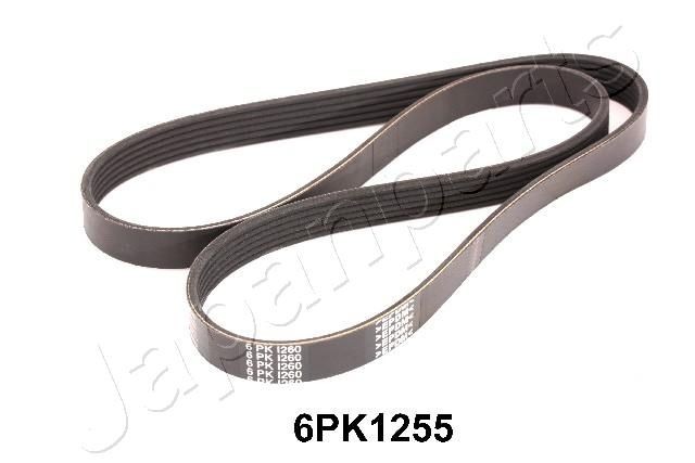 JAPANPARTS DV-6PK1255 Serpentine belt 1255mm, 6