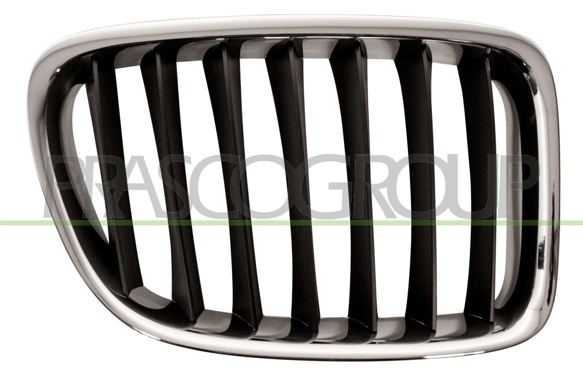 BMW X1 Front grille 7701473 PRASCO BM7022023 online buy