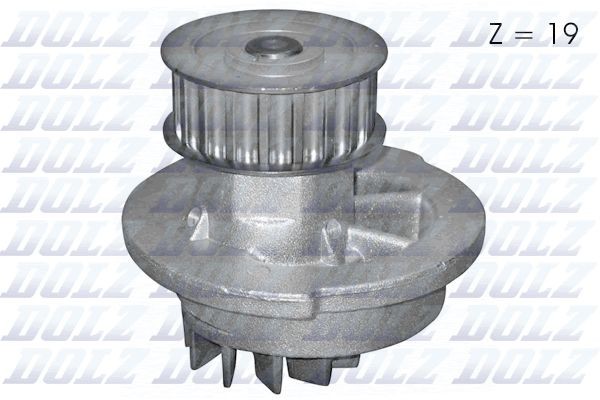 DOLZ D210 Water pump Number of Teeth: 19, with belt pulley