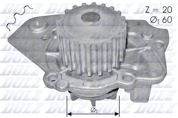 DOLZ T136 Water pump Number of Teeth: 20, with belt pulley