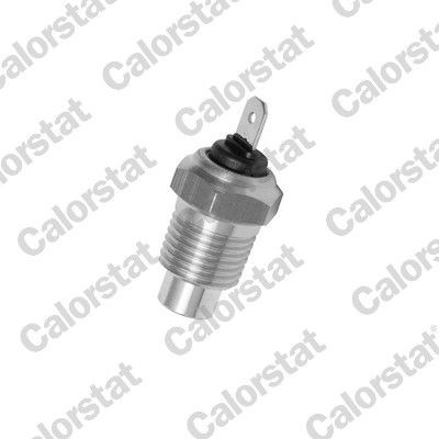 CALORSTAT by Vernet WS2509 Engine electrics Fiat Tipo 160 1.7 D 58 hp Diesel 1989 price