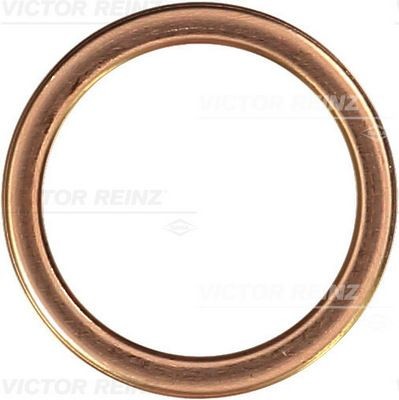 Great value for money - REINZ Seal, oil drain plug 41-72066-30