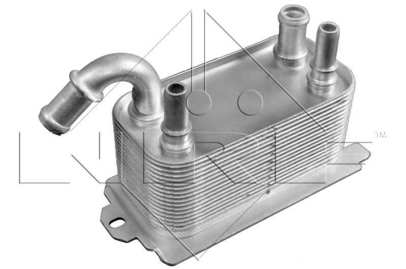 Ford KUGA Engine oil cooler 7751775 NRF 31192 online buy