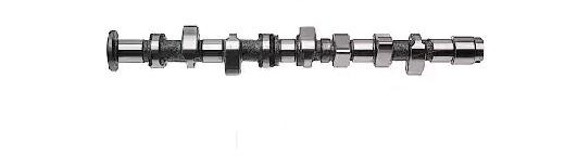 AE Camshaft CAM808 Volkswagen POLO 1998
