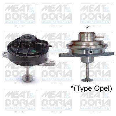 2101MP MEAT & DORIA 88064 EGR valve 08 49 067