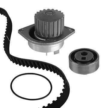PA491 GRAF Number of Teeth: 101, Width 1: 17 mm, for timing belt drive Timing belt and water pump KP491-1 buy