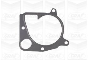 GRAF Water pump for engine PA1054 for BMW 7 Series, 5 Series