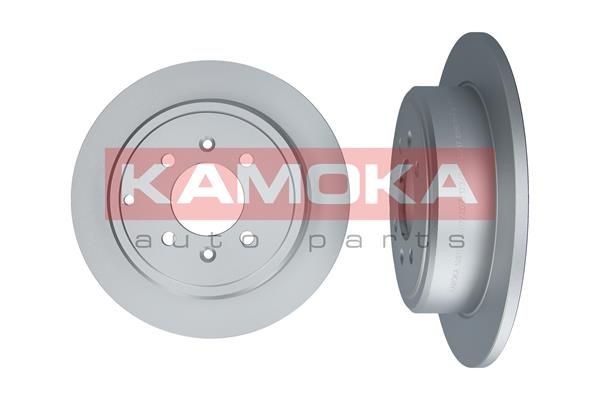 1031738 KAMOKA Voll, beschichtet, mit Schrauben Ø: 290,5mm, Ø: 290,5mm, Bremsscheibendicke: 10mm Bremsscheibe 1031738 günstig kaufen