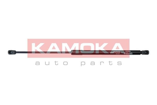 1032086 Brake disc KAMOKA 1032086 review and test