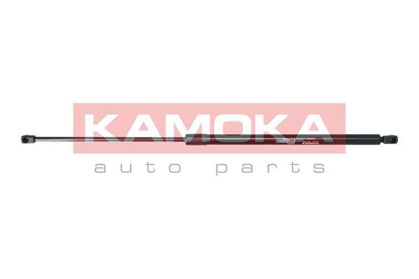 1032608 Brake disc KAMOKA 1032608 review and test