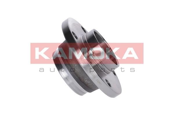 KAMOKA 5500029 Wheel bearing & wheel bearing kit Rear Axle, 116, 116,7 mm