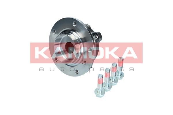 KAMOKA 5500132 Wheel bearing kit Front Axle