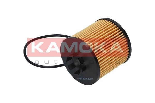 KAMOKA Engine oil filter F109801 buy online