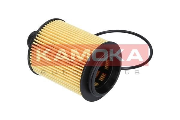 F111701 Oil filters KAMOKA F111701 review and test
