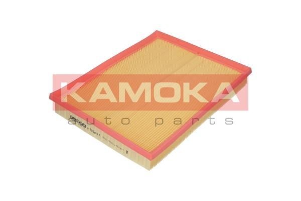 Filtro aria F200601 di KAMOKA