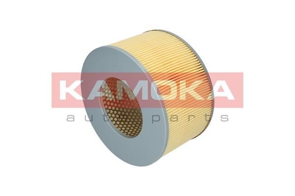 Great value for money - KAMOKA Air filter F215901