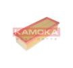 KAMOKA F229701