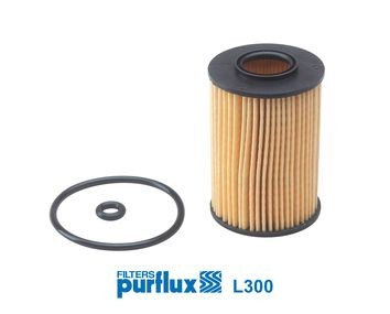 PURFLUX L300 Oil filter 166-184-05-25