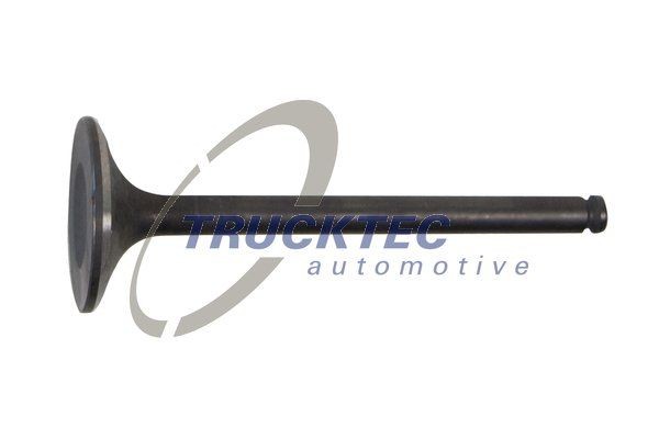 TRUCKTEC AUTOMOTIVE 02.12.139 Einlassventil für MERCEDES-BENZ UNIMOG LKW in Original Qualität