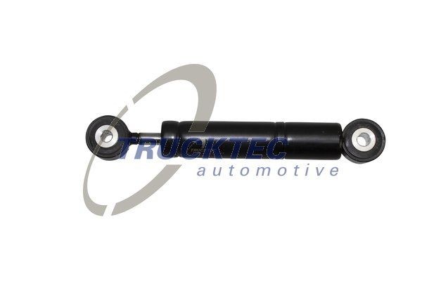 Porsche Vibration Damper, v-ribbed belt TRUCKTEC AUTOMOTIVE 02.19.022 at a good price