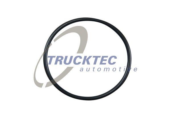 TRUCKTEC AUTOMOTIVE Gasket, thermostat 02.67.006 Audi A3 2018