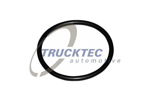 TRUCKTEC AUTOMOTIVE Thermostat housing seal VW Polo III Variant (6V5) new 07.19.039