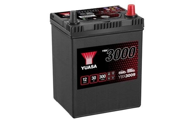 YUASA YBX3009 Auto battery 12V 30Ah 300A with handles, with load status display, Lead-acid battery