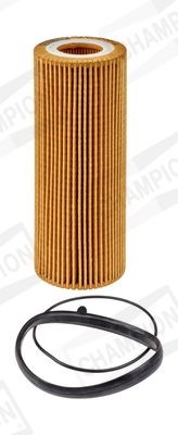 CHAMPION COF100596E Oil filter TITAN, with gaskets/seals, Filter Insert