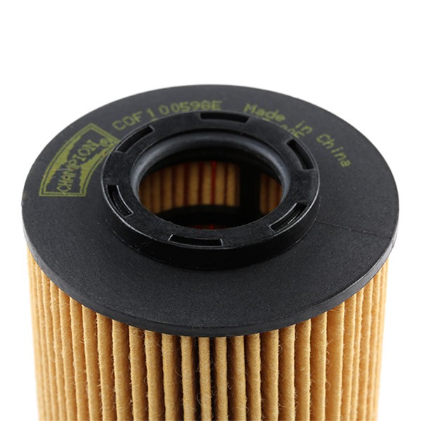 CHAMPION COF100598E Engine oil filter TITAN, with gaskets/seals, Filter Insert