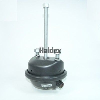 HALDEX Remcilindermembraan 123200003 voor ERF: koop online