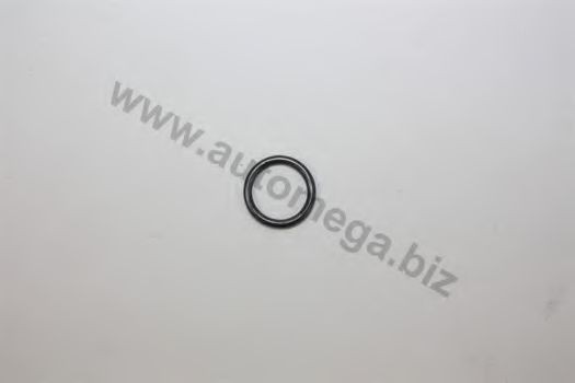 AUTOMEGA 101330557035A Seal Ring, injector