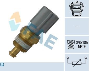 FAE grey Number of pins: 2-pin connector Coolant Sensor 33734 buy