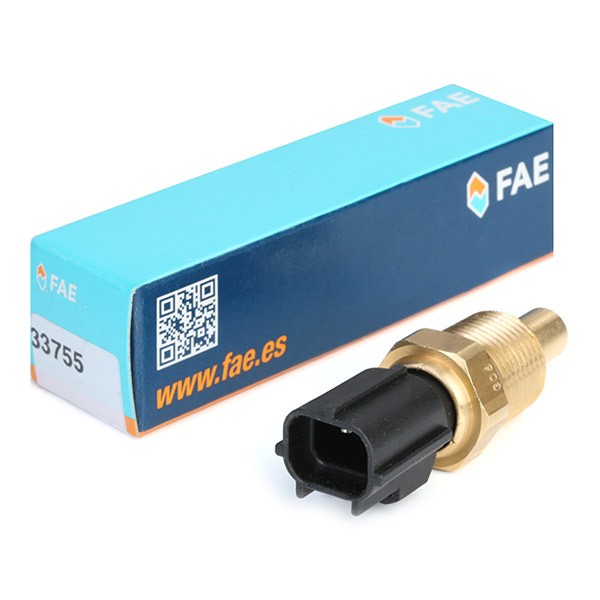 FAE Water temperature sensor 33755