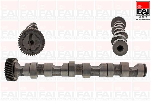 FAI AutoParts C247 Camshaft for cylinder 4-6