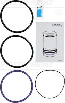 REINZ O-Ring Set, cylinder sleeve 15-76073-01 buy