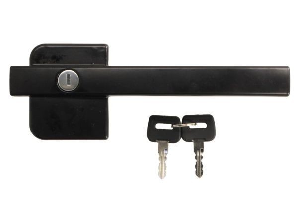 PACOL links, mit Schließzylinder, mit Schlüssel Türgriff DAF-DH-004L kaufen