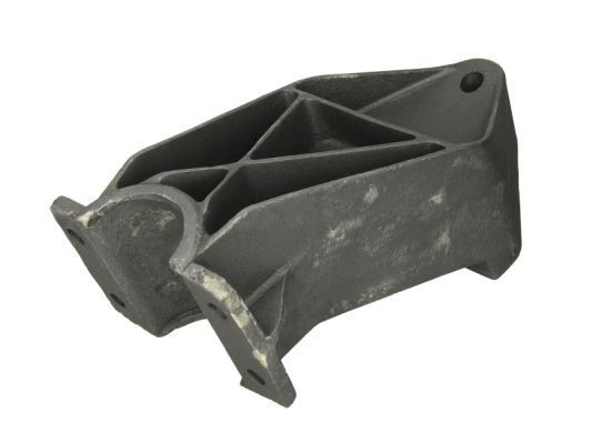 PACOL Left Front, Right Rear, Right Front Holder, mudguard DAF-MS-001 buy