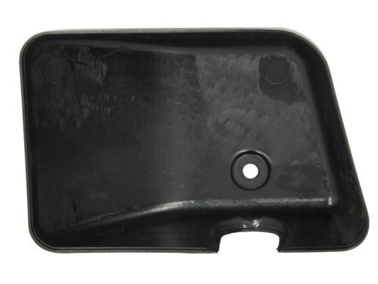 PACOL Side mirror cover MAN-MR-022L