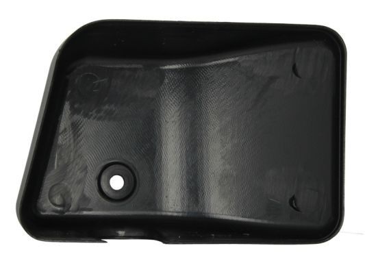 PACOL Side mirror cover MAN-MR-022R